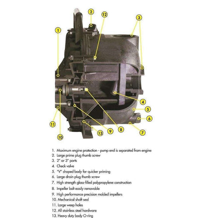 Banjo 3 Inch Dewatering Pump Honda GX200 (300PH-6-200.BAN) at Wood Splitter Direct
